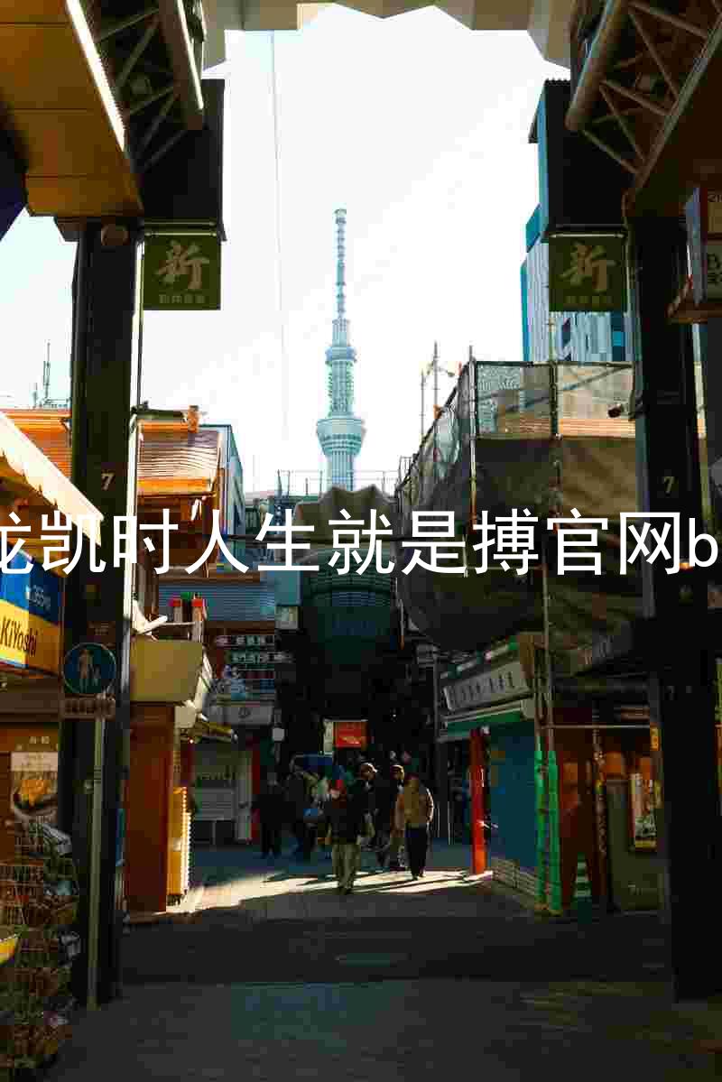 尊龙凯时人生就是搏官网bjl8