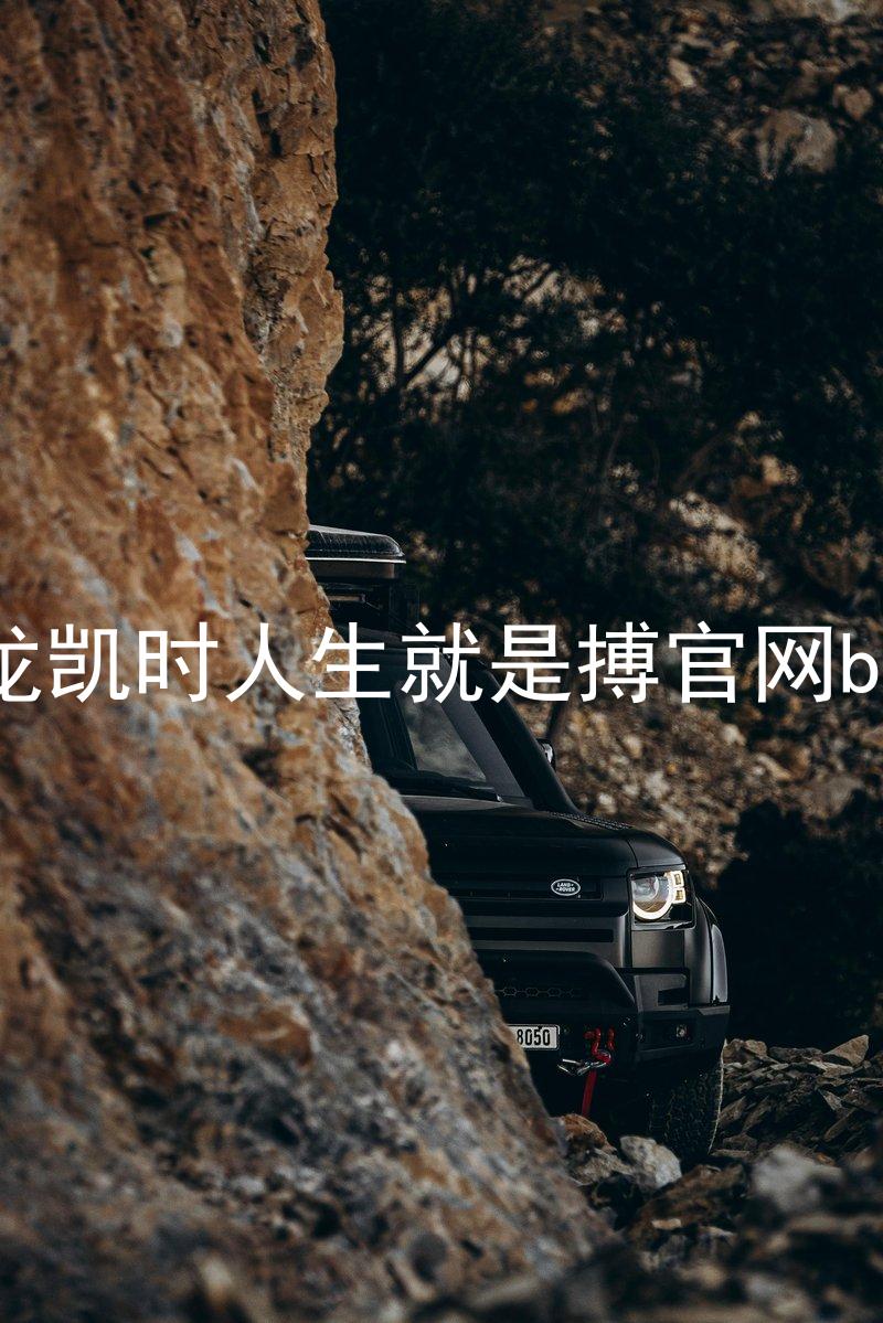 尊龙凯时人生就是搏官网bjl8
