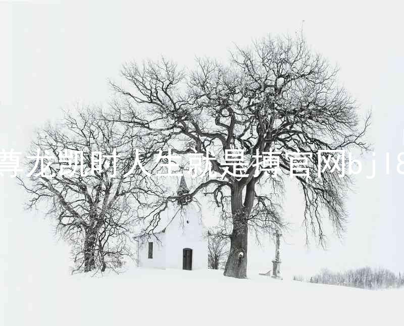 尊龙凯时人生就是搏官网bjl8