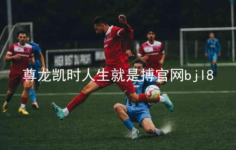 尊龙凯时人生就是搏官网bjl8