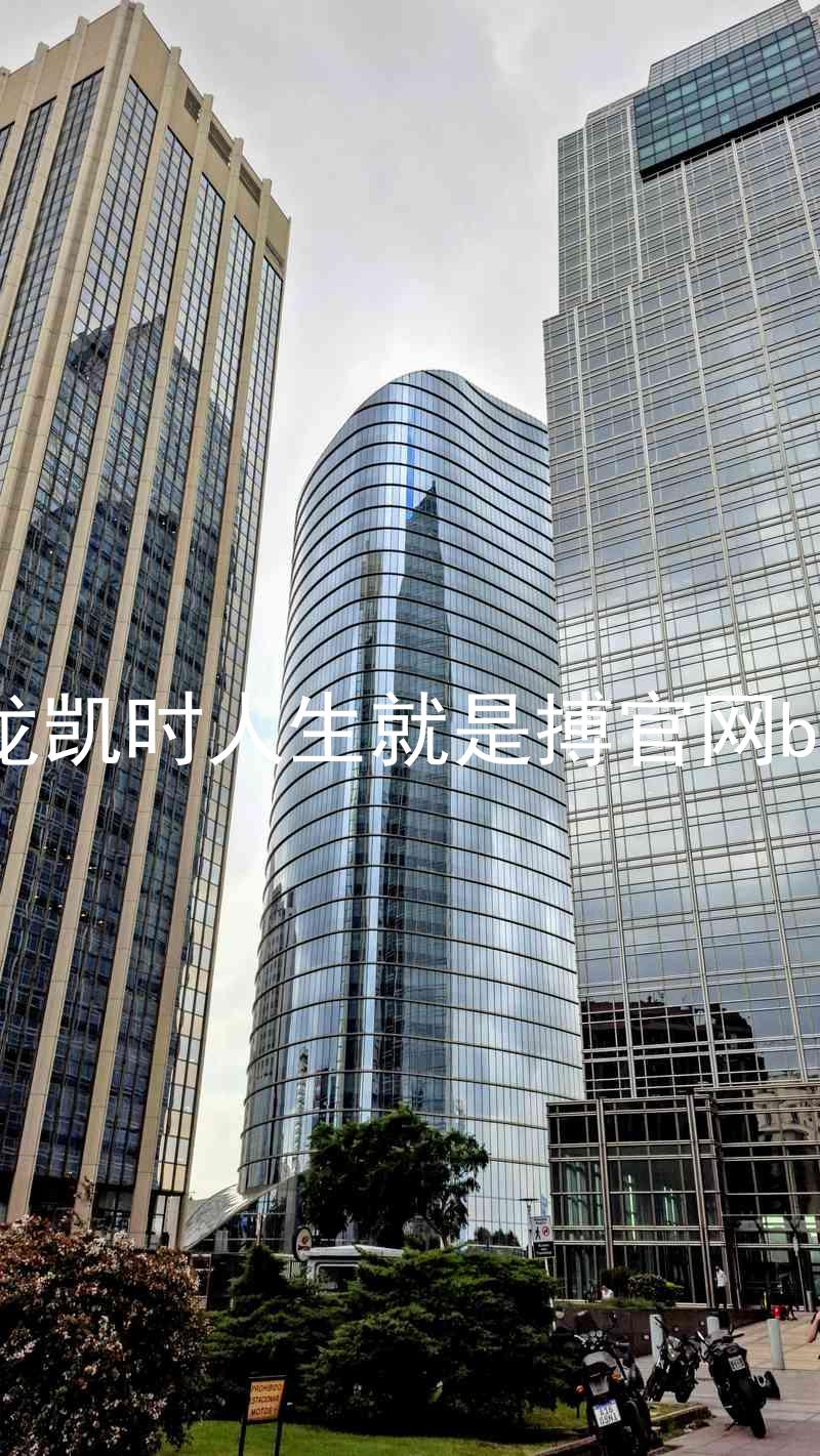 尊龙凯时人生就是搏官网bjl8